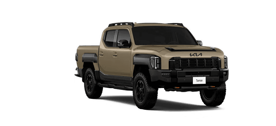 Tasman Vibrant lateral